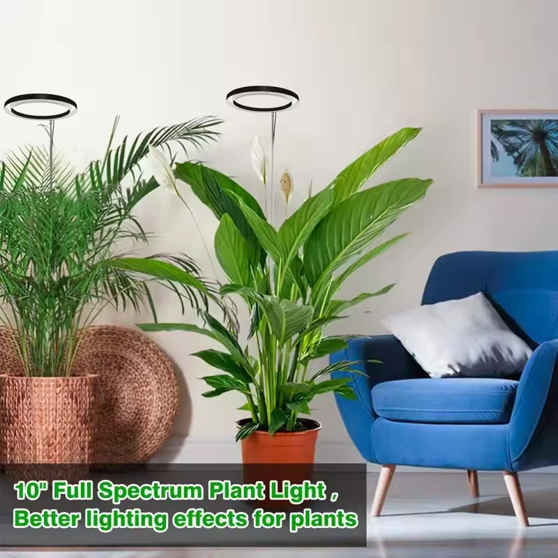Adjustable LED Grow Light with Telescopic Stand, Automatic Timer and Spectrum for Vigorous Houseplants | Sansoti