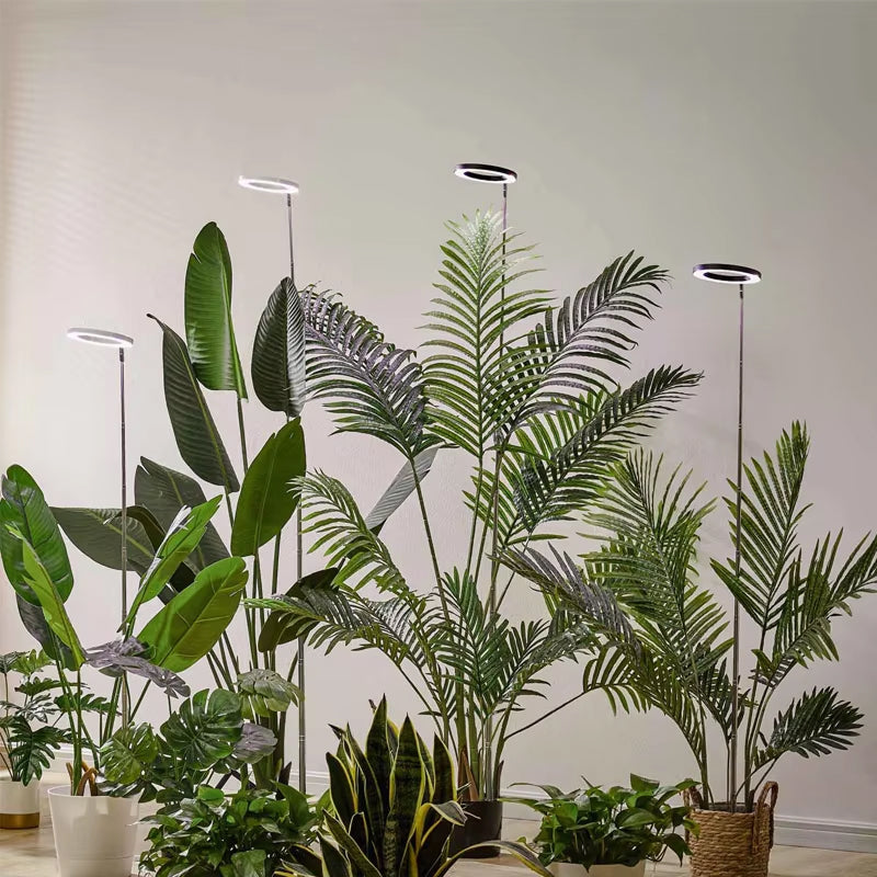 Adjustable LED Grow Light with Telescopic Stand, Automatic Timer and Spectrum for Vigorous Houseplants | Sansoti