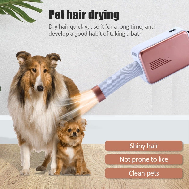 Electric Clothes Dryer 800W PTC Heating Fan Fast-Drying Cabinet Portable Compact Drying Cabinet | Sansoti