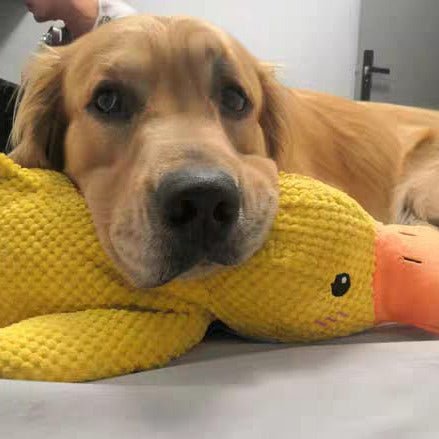 Hondenspeelgoed Eend Kwakgeluid Bijtspeelgoed Touwtrekken Stressverlichting Hond | Sansoti