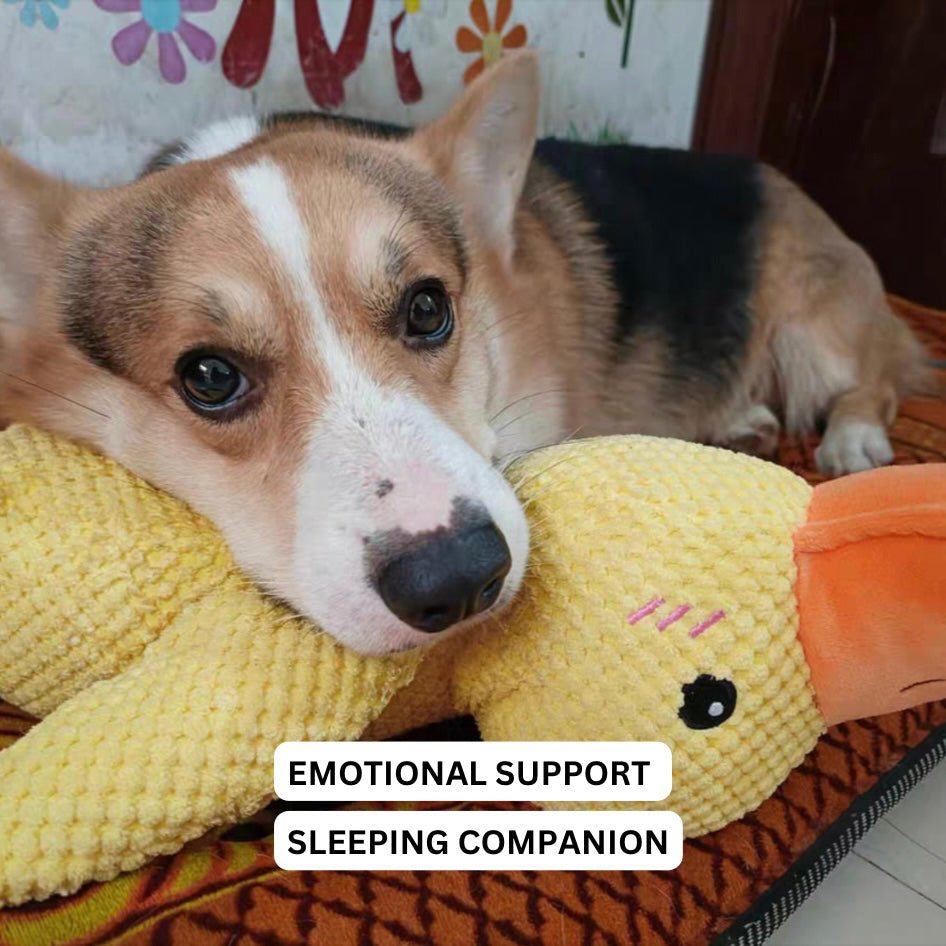 Hondenspeelgoed Eend Kwakgeluid Bijtspeelgoed Touwtrekken Stressverlichting Hond | Sansoti