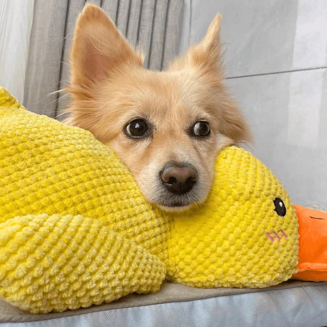 Hondenspeelgoed Eend Kwakgeluid Bijtspeelgoed Touwtrekken Stressverlichting Hond | Sansoti