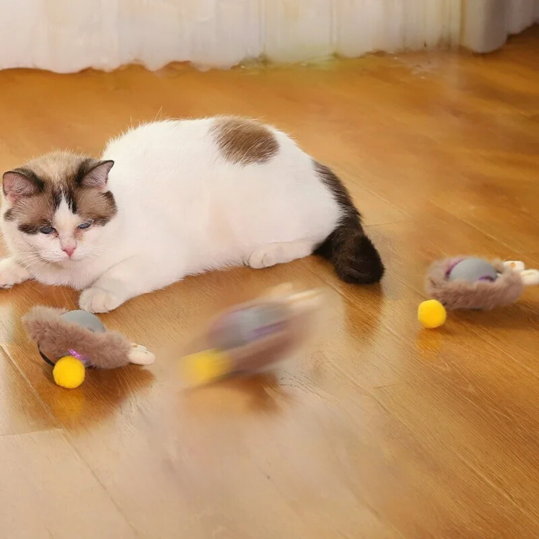 Interactief Kattenrolspeelgoed Oplaadbaar USB met Bewegende Staart Prooi-Imitatie voor Actief Spel Katten | Sansoti