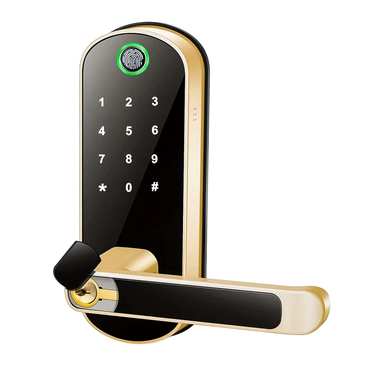 Electronic Door Lock with Fingerprint, WiFi Control, 5 Access Methods, Weather-Resistant, IP67 Smart Lock | Sansoti