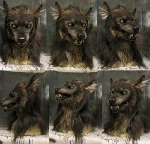 Masque de loup-garou pour Halloween, cosplay, fête et carnaval, masque animalier réaliste en silicone, déguisement | Sansoti