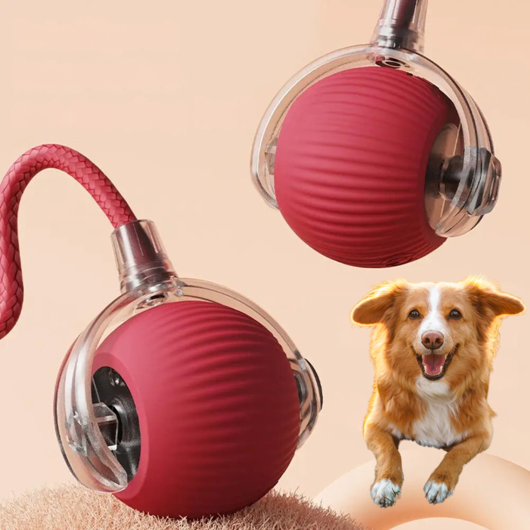 Interactieve Rollende Bal met Staart voor Honden Actief Speelgoed Bewegingsstimulatie Huisdier Hondenspeelgoed | Sansoti