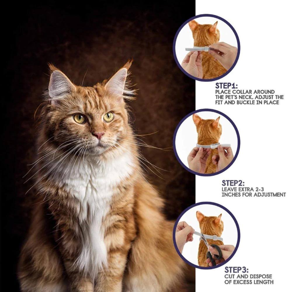 Flea and Tick Collar for Pets – Natural Formula – 8 Months Protection – Adjustable | Sansoti