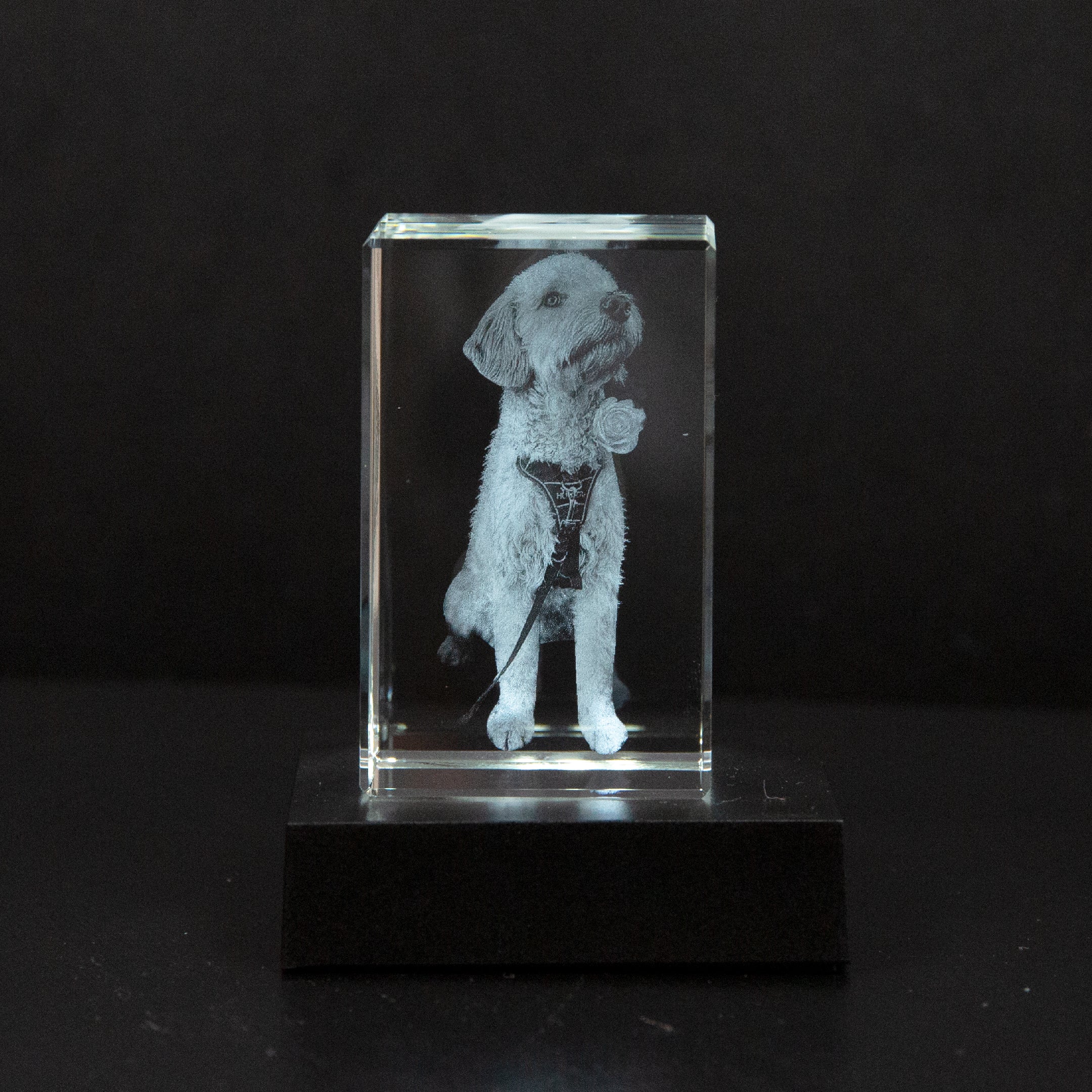 Gepersonaliseerd 2D/3D Kristal Gedenkkristal met Eigen Foto – Verlicht Herinneringsblok met Houten Voet | Sansoti