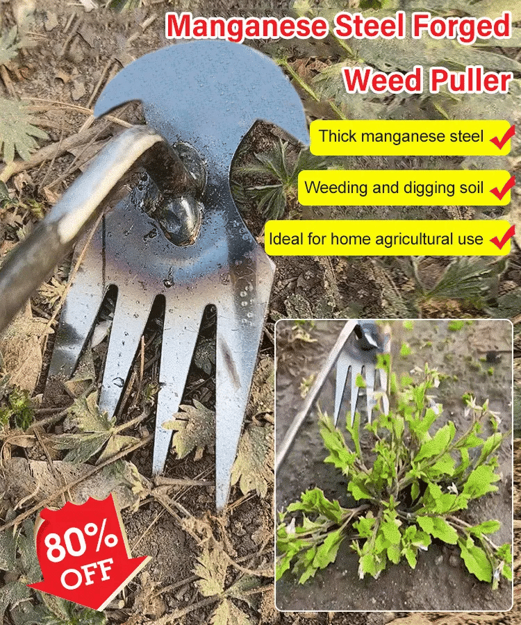 Manueller Unkrautentferner aus Metall mit ergonomischem Griff für präzises Entfernen von Wurzeln, für Gartenfiguren, Wege, Fugen und Terrassen | Sansoti