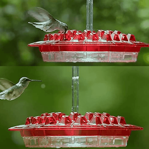 Mangeoire suspendue pour colibris 350 ml avec protection anti-fourmis, 30 ports d’alimentation et ouvertures en forme de diamant, décoration de jardin | Sansoti