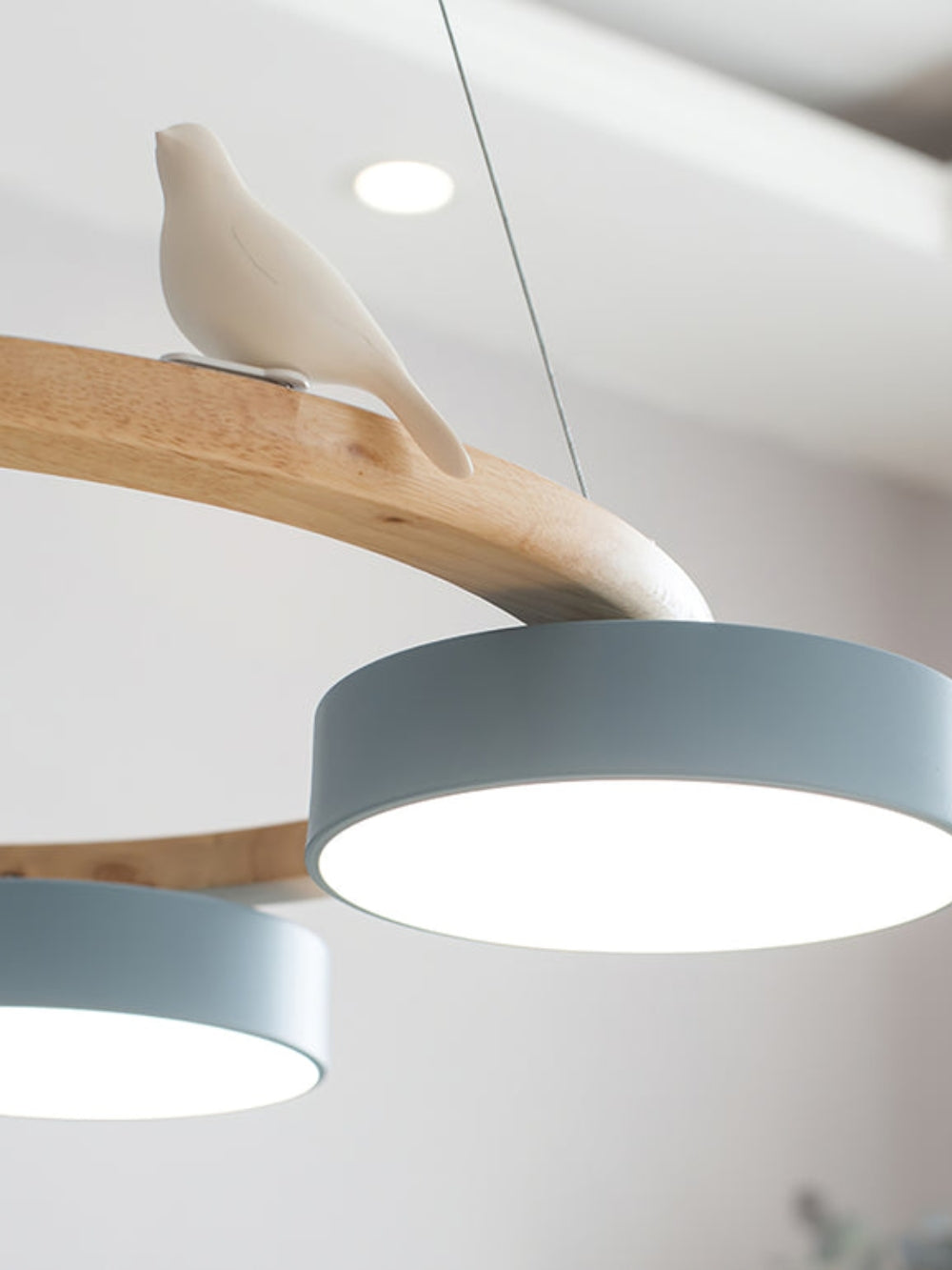 Decoratieve Vogelkroonluchter met Gekleurde Cirkels voor Eetkamer en Woonkamer | Sansoti