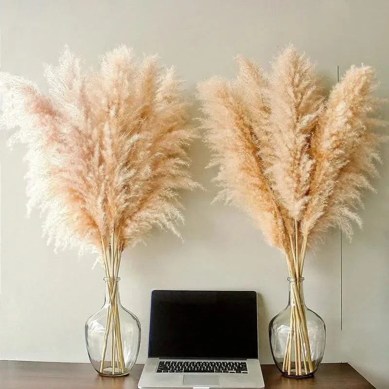 Dekorative Pampasgräser 65cm – Künstliche Dekoration im Boho-Stil für Vasen, Wohnraum und skandinavisches Interieur | Sansoti