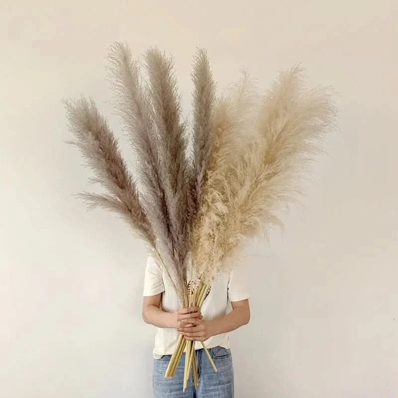 Dekorative Pampasgräser 65cm – Künstliche Dekoration im Boho-Stil für Vasen, Wohnraum und skandinavisches Interieur | Sansoti