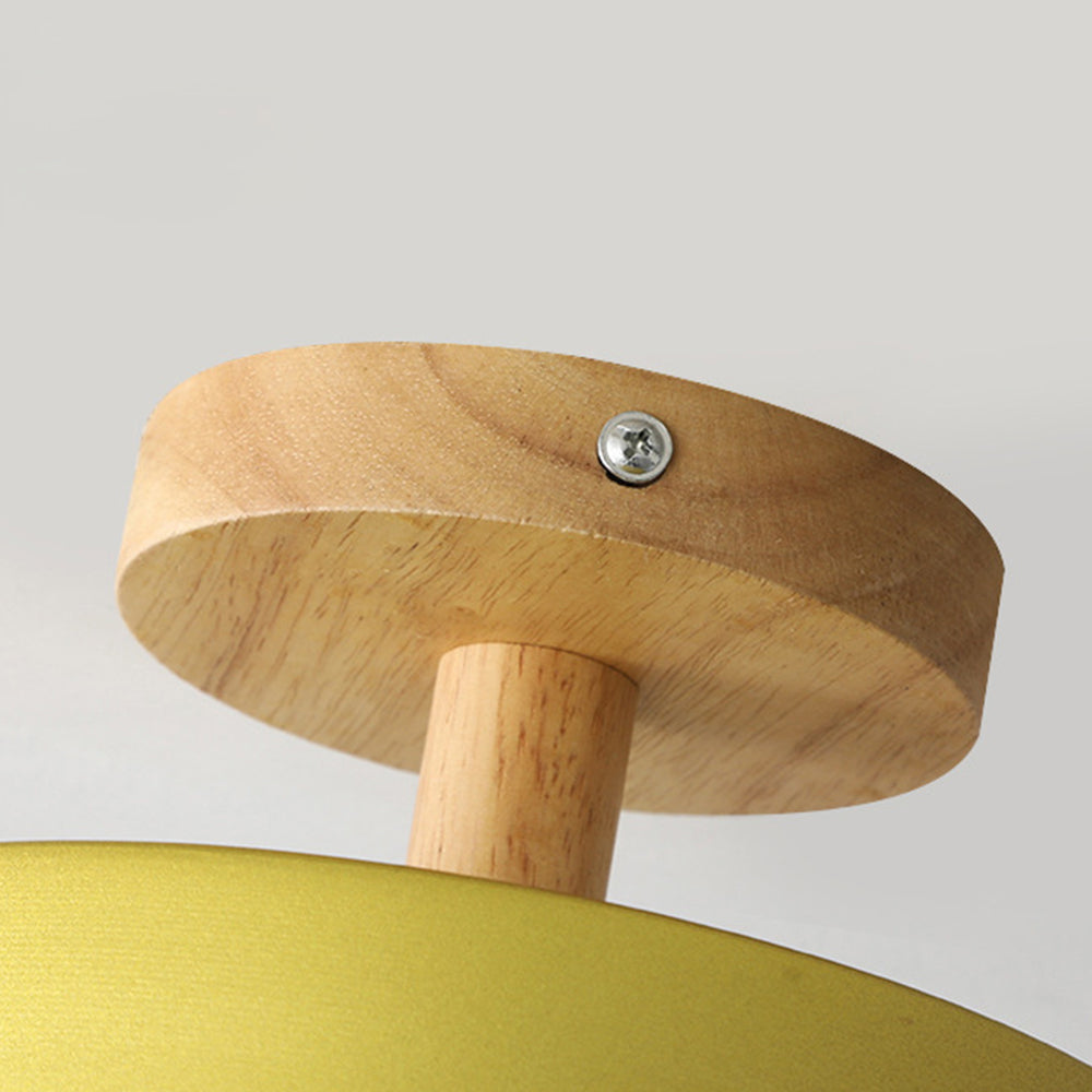 Pedol plafondlamp LED 12W hout groen plafondlamp slaapkamer hal Scandinavisch design moderne verlichting kleine ruimtes | Sansoti