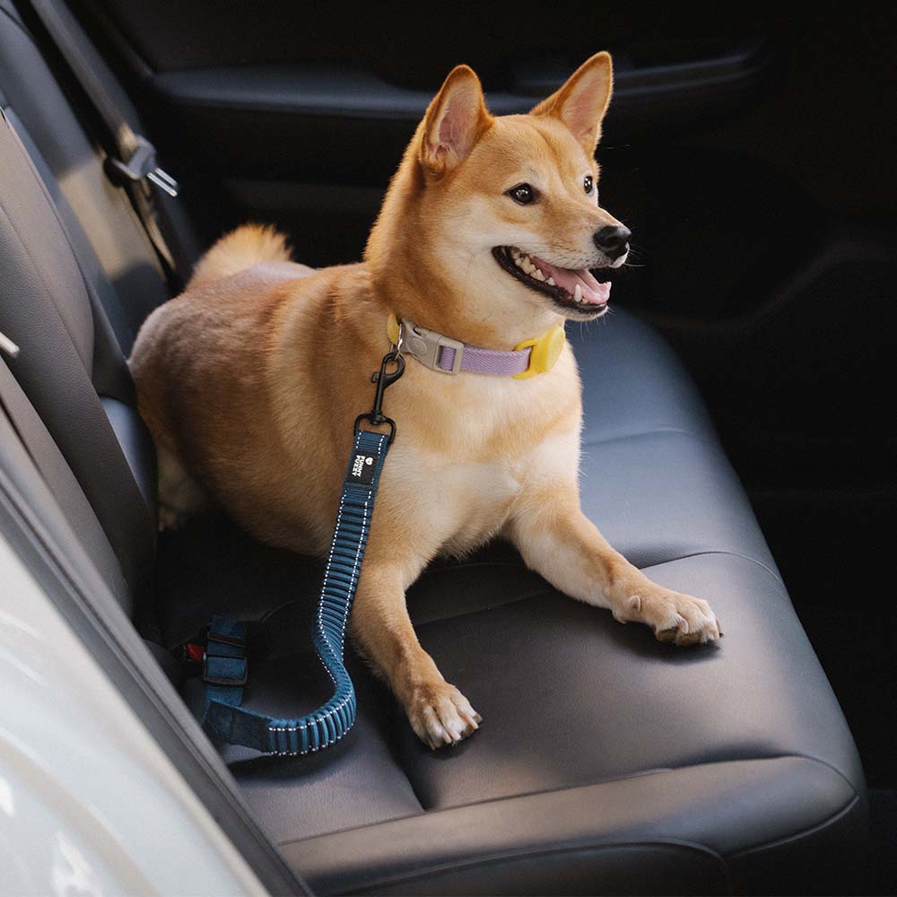 Autogordel Buffer Verstelbaar Hondenhalsband Tuigje Veiligheid Auto Reizen Reflecterend Huisdier Hond | Sansoti