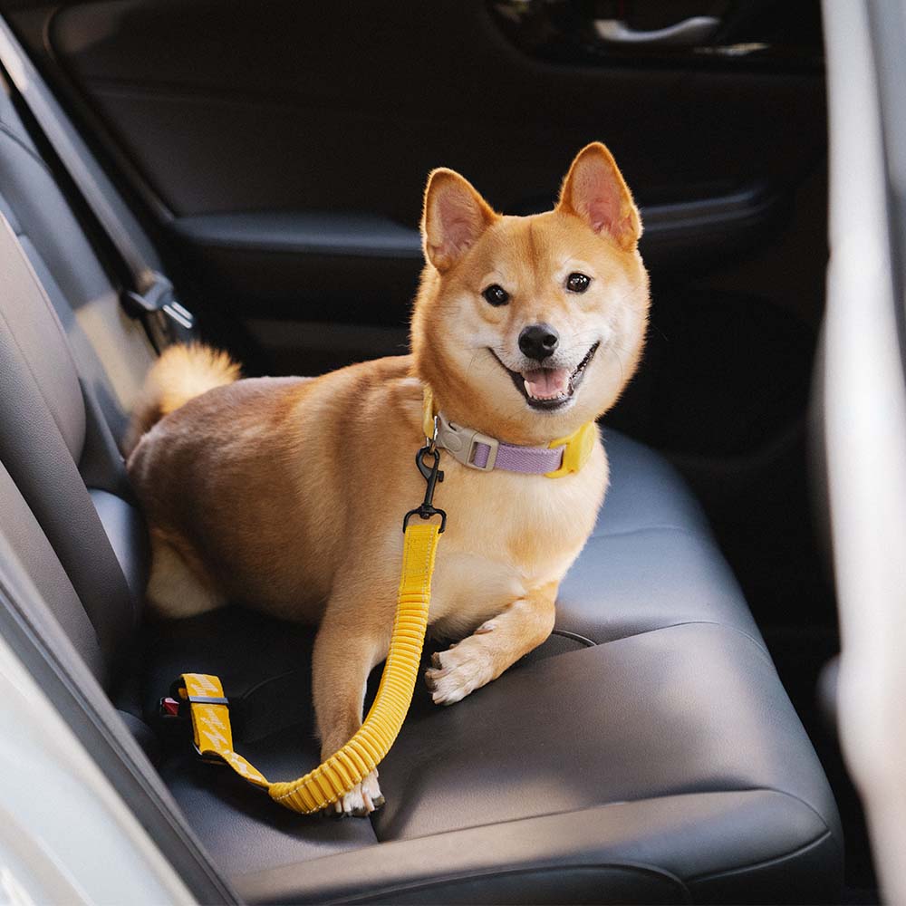 Autogordel Buffer Verstelbaar Hondenhalsband Tuigje Veiligheid Auto Reizen Reflecterend Huisdier Hond | Sansoti
