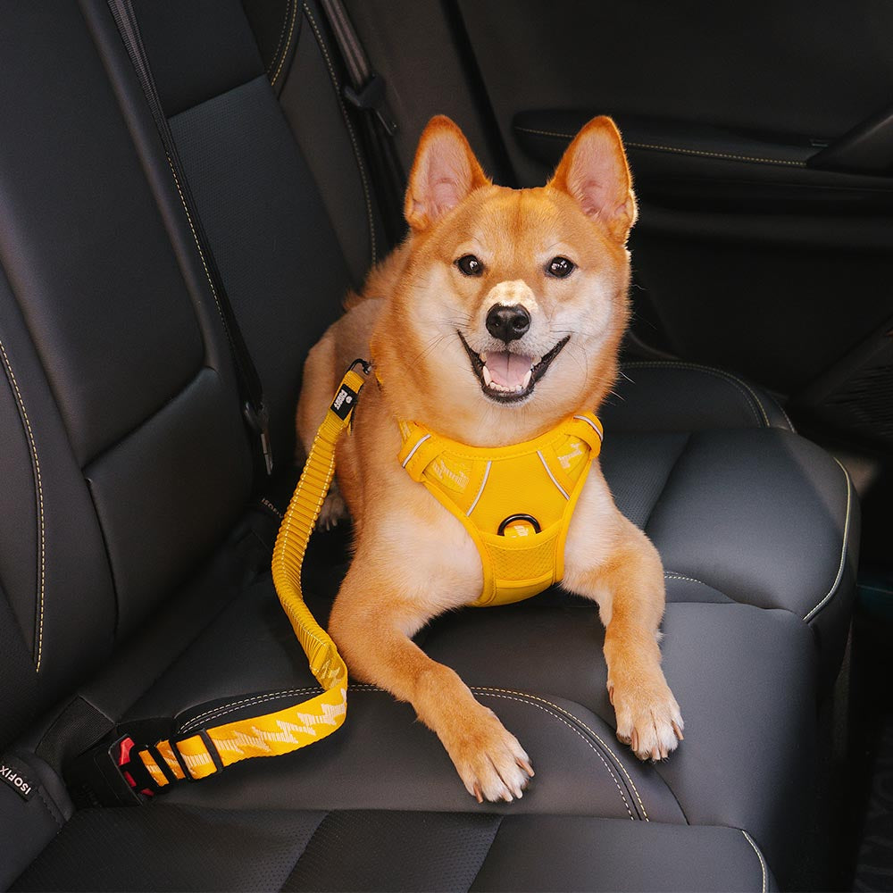 Autogordel Buffer Verstelbaar Hondenhalsband Tuigje Veiligheid Auto Reizen Reflecterend Huisdier Hond | Sansoti