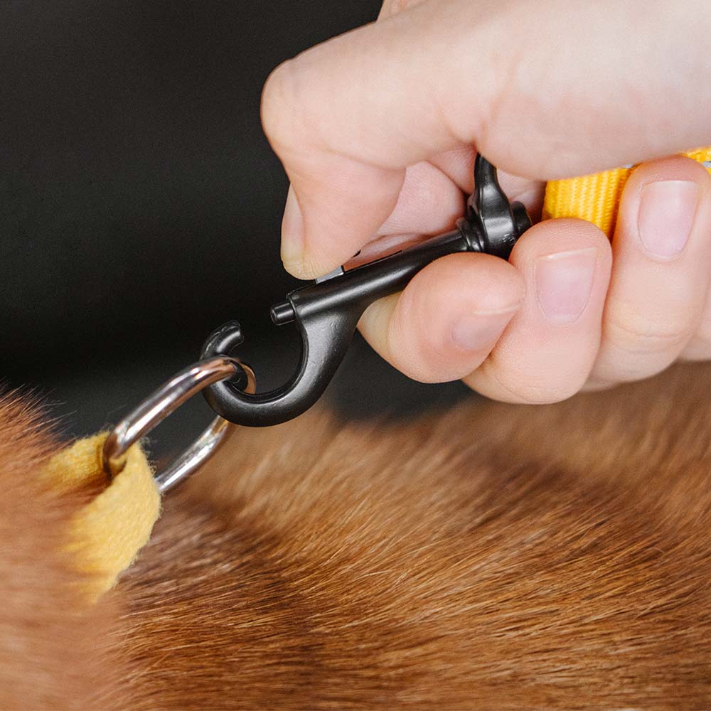 Autogordel Buffer Verstelbaar Hondenhalsband Tuigje Veiligheid Auto Reizen Reflecterend Huisdier Hond | Sansoti