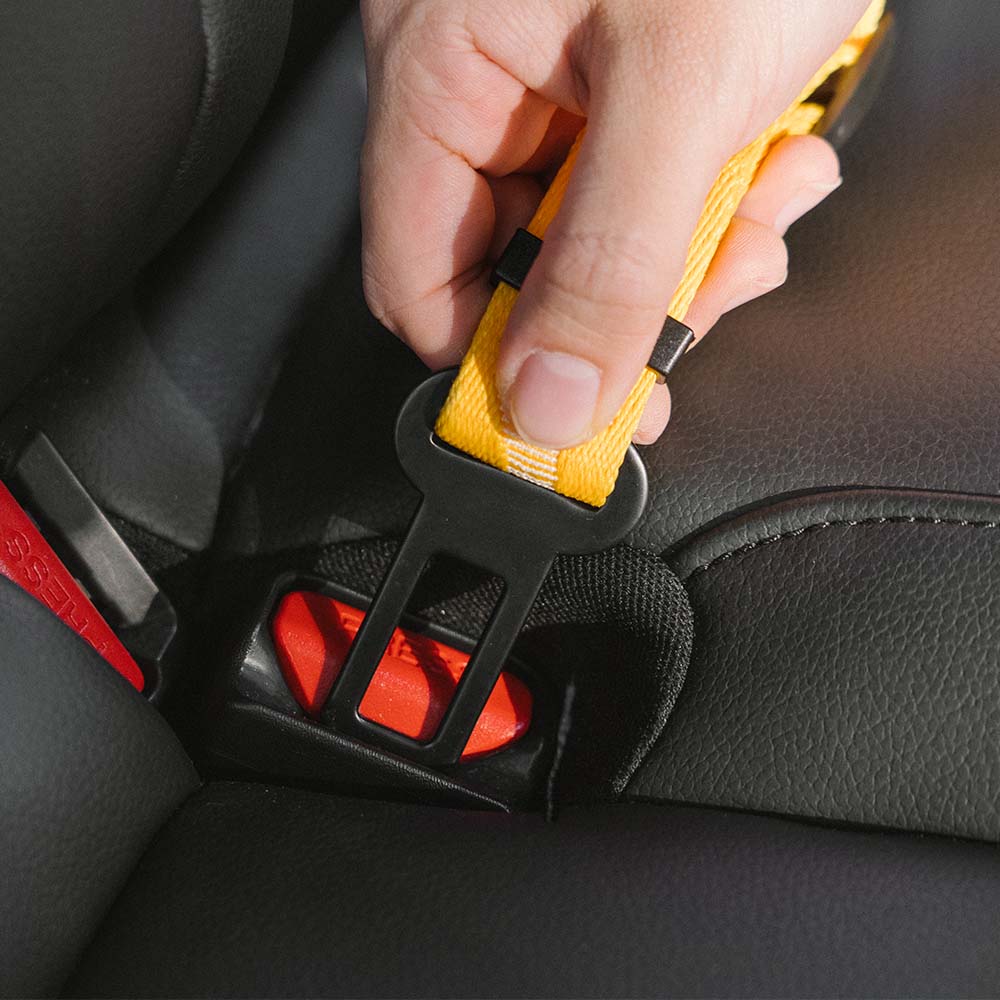 Autogordel Buffer Verstelbaar Hondenhalsband Tuigje Veiligheid Auto Reizen Reflecterend Huisdier Hond | Sansoti