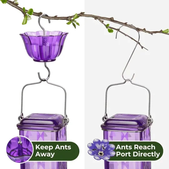 Glas-Kolibri-Futterstation 700ml mit sechs Blumen-Sitzplätzen, Ameisensperre und Aufhängehaken für Gartenvögel | Sansoti