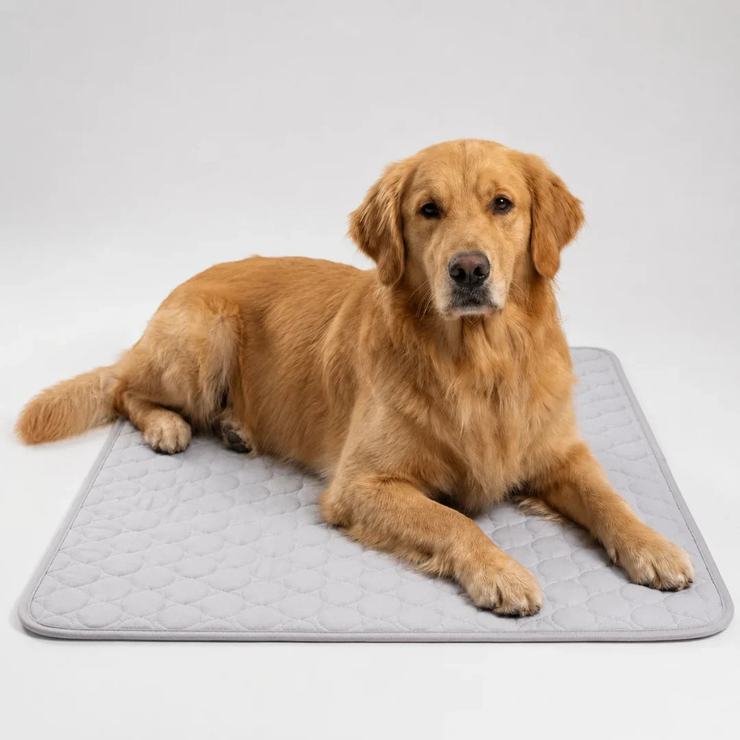 Washable Cooling Mat for Dogs and Cats 6 Sizes Breathable Cooling Cushion Pet Travel Mat Summer Cooling | Sansoti
