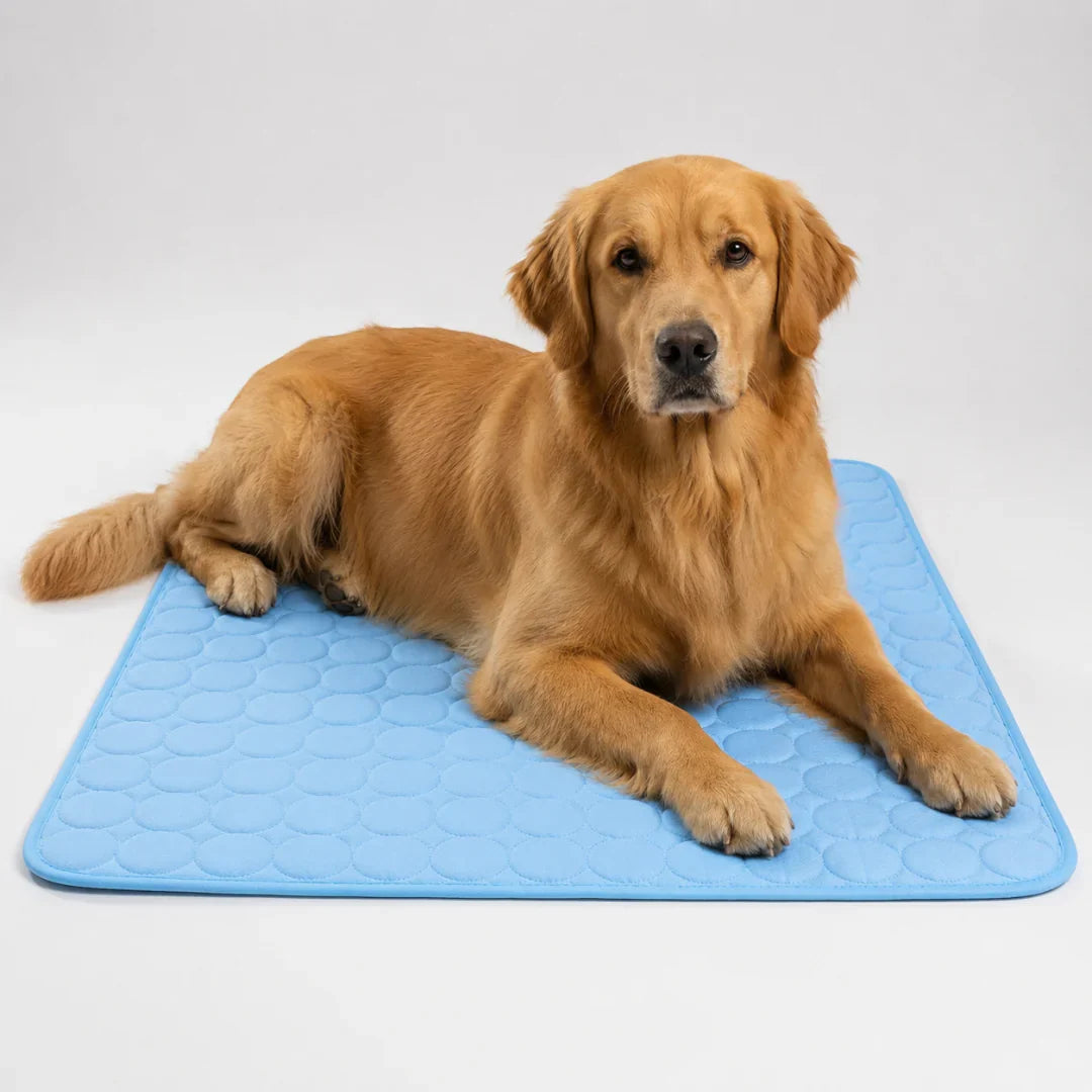 Washable Cooling Mat for Dogs and Cats 6 Sizes Breathable Cooling Cushion Pet Travel Mat Summer Cooling | Sansoti