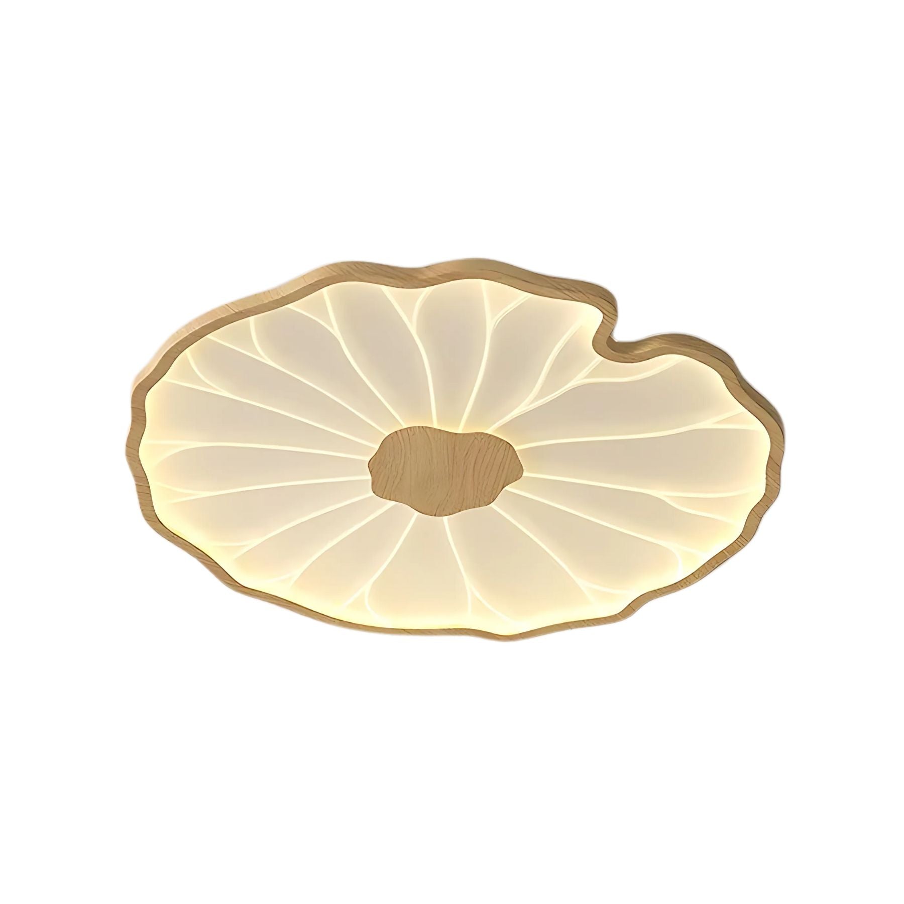 LED plafondlamp houtlook walnoot acryl metaal plafondlamp lage plafonds woonkamer slaapkamer designlamp | Sansoti