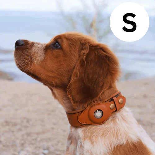 GPS-hondenhalsband met wereldwijde tracking zonder abonnement voor veilige wandelingen en volledige controle over je hond | Sansoti