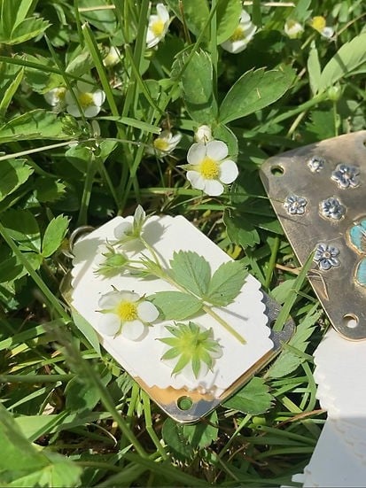 Mini Bloemenpers Compacte Botanische Droogpers Draagbare Herbarium Pers Natuurlijke Bladeren Bewaren | Sansoti