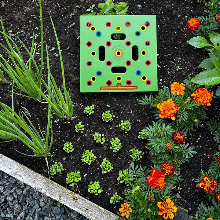Zaaisjabloon voor Moestuin – Plantafstand Hulpmiddel voor Groenten & Kruiden – 30x30 cm Zaaisjabloon Tuin met Handleiding | Sansoti