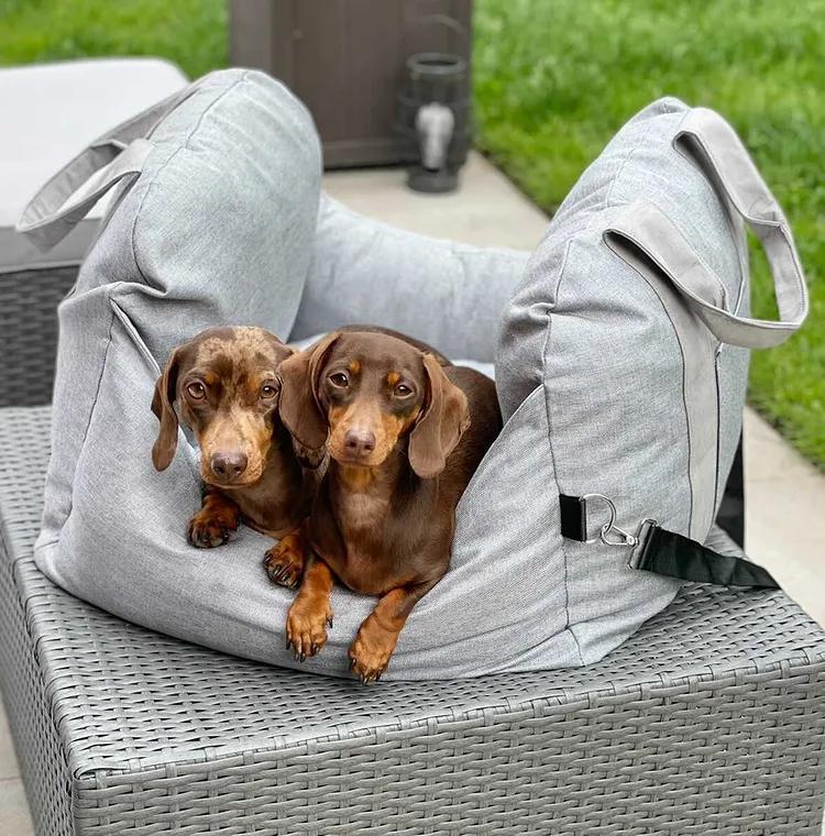 Autostoel Hondenmand First Class - Comfortabel Reiskussen voor Hond of Kat - Verstelbaar Wasbaar Autoreizen | Sansoti
