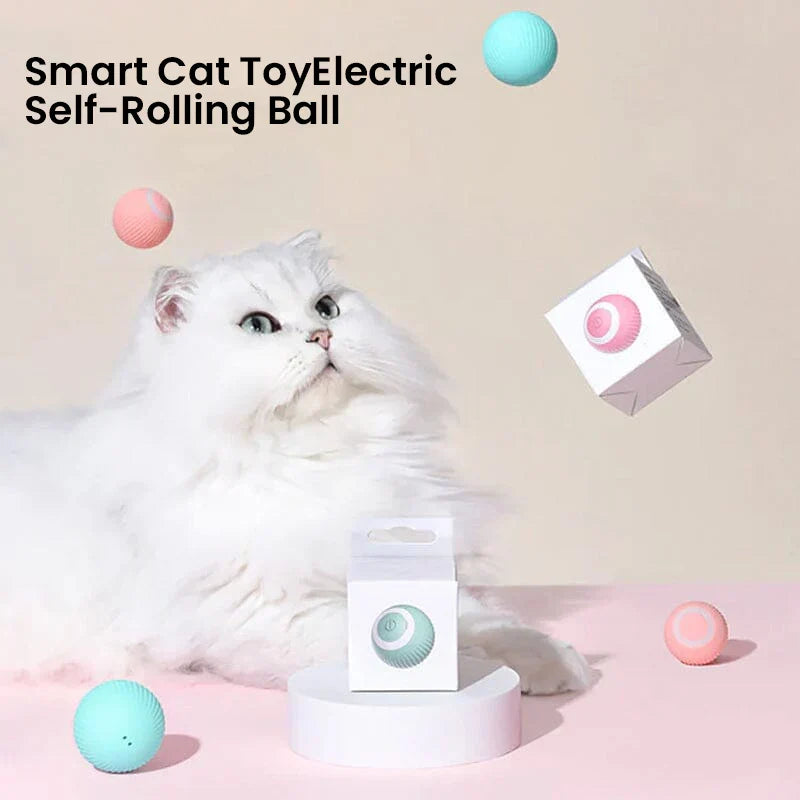 Jouet interactif pour chat avec capteur intelligent, plume, balle roulante automatique, 2 modes, silencieux et rechargeable par USB | Sansoti