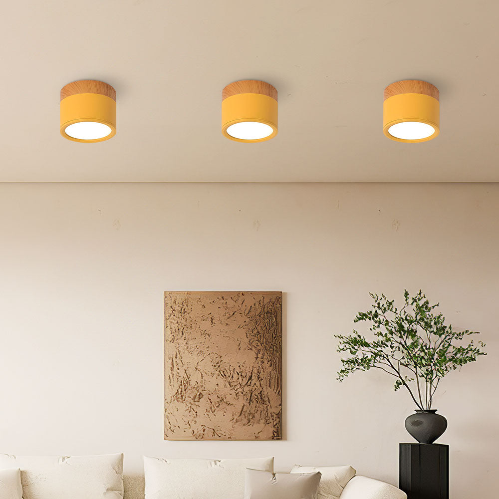Cylinder kleine Deckenleuchte LED Holz modern Decke Flur Wohnzimmer kompakt Design | Restfield