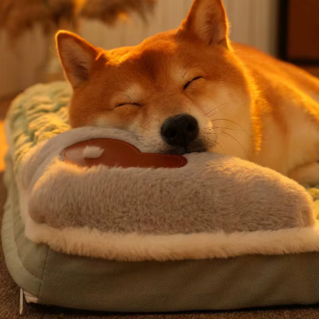 Orthopedic Pet Bed Mat Memory Foam Dog Cat Removable Washable Non-Slip Comfort Sleeping Place XL | Sansoti