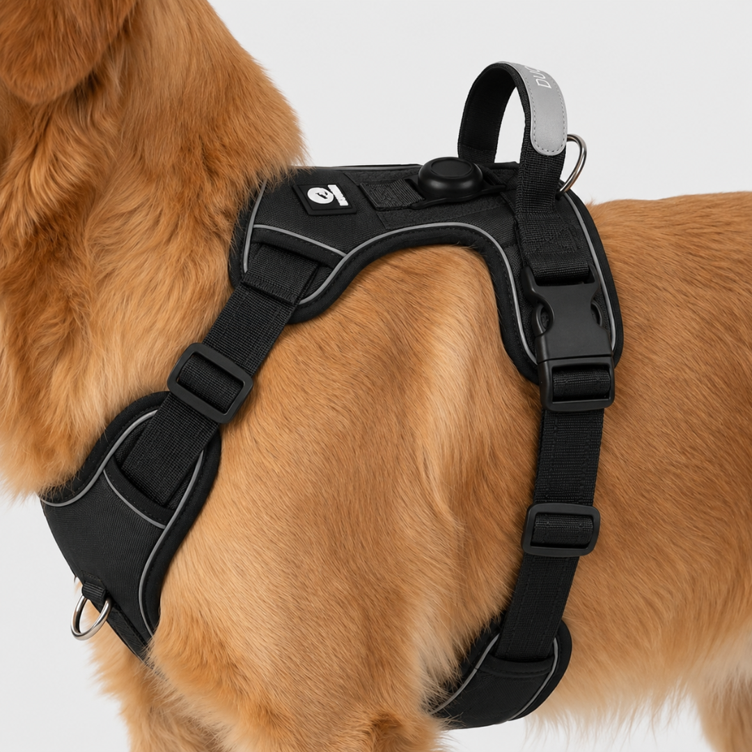 Adjustable No-Pull Dog Harness Chest Harness Reflective Comfortable Safe Walking Dog XS to XL | Sansoti