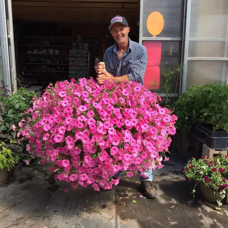 Fleurs artificielles suspendues dans un panier en osier, en soie et plastique, résistantes aux UV, pour décoration intérieure et extérieure, jardin ou balcon | Sansoti