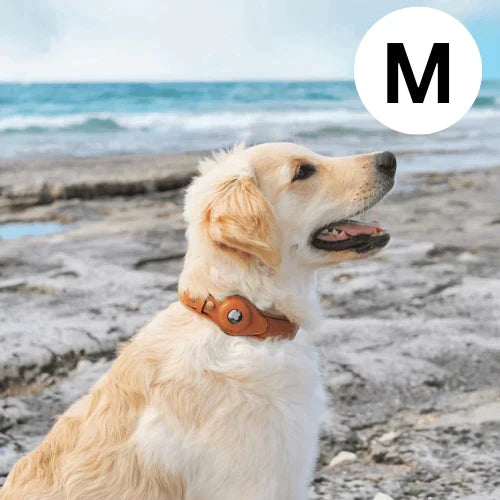 GPS-hondenhalsband met wereldwijde tracking zonder abonnement voor veilige wandelingen en volledige controle over je hond | Sansoti