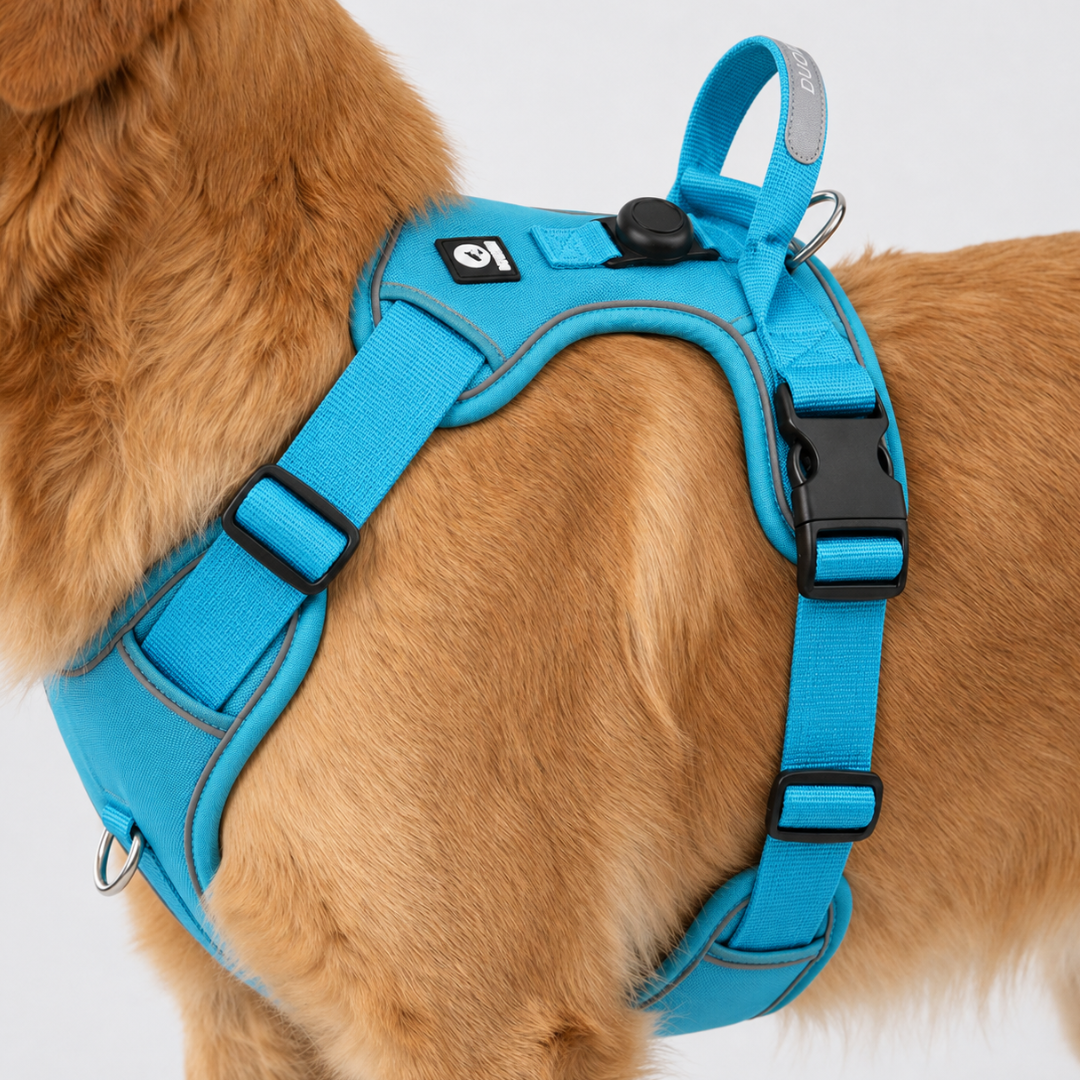 Adjustable No-Pull Dog Harness Chest Harness Reflective Comfortable Safe Walking Dog XS to XL | Sansoti