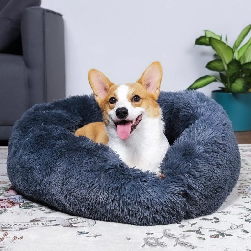 Panier rond pour animal de compagnie à bord surélevé, couchage moelleux pour chien ou chat, nid douillet avec coussin chaud | Sansoti