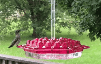 Kolibrifutterspender für draußen mit Ameisenabwehr, 30 Futteröffnungen, hängende Vogelfütterung, Gartendekoration | Sansoti