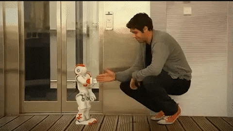 Interactive Learning Robot for Children with Gesture Control, Music, Dance Functions, Programmable, Educational | Sansoti