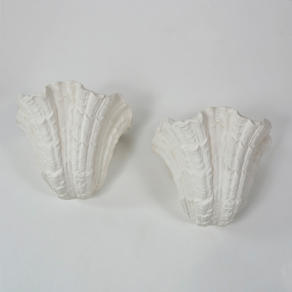 Plaster Shell Wall Light G9 LED Wabi-Sabi Baroque Sculpture Ambient Light Warm White Design Interior Wall Lighting | Sansoti