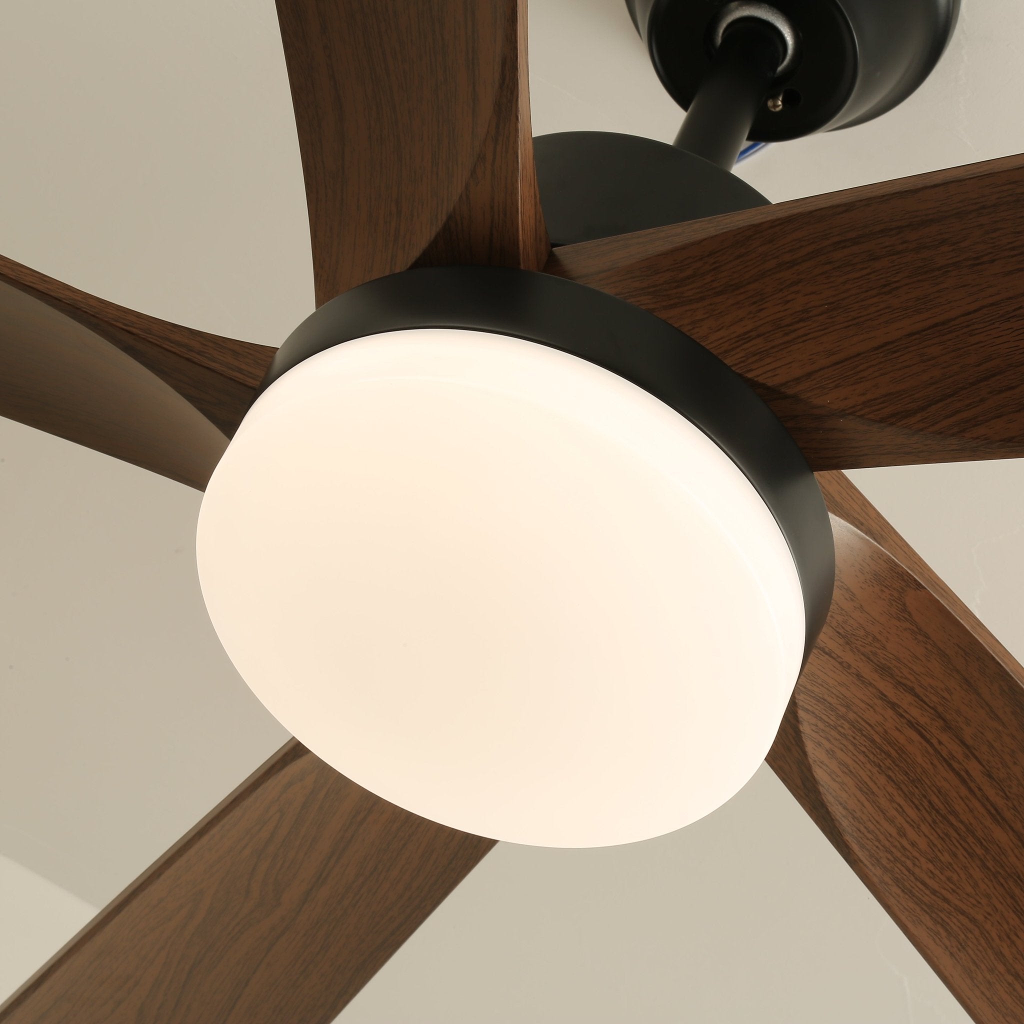 Modern ceiling fan with lighting and wooden blades – 6 speeds LED ceiling fan wood – quiet ceiling fan with remote control – Scandinavian fan lamp black and walnut for living room bedroom | Sansoti