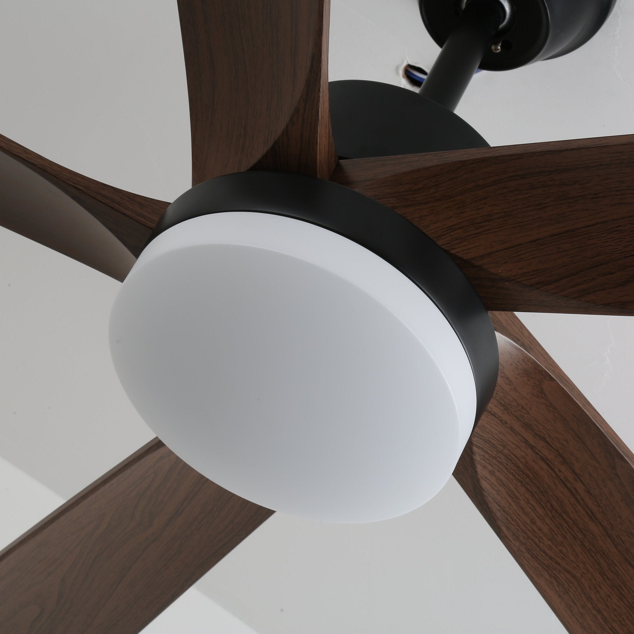 Modern ceiling fan with lighting and wooden blades – 6 speeds LED ceiling fan wood – quiet ceiling fan with remote control – Scandinavian fan lamp black and walnut for living room bedroom | Sansoti