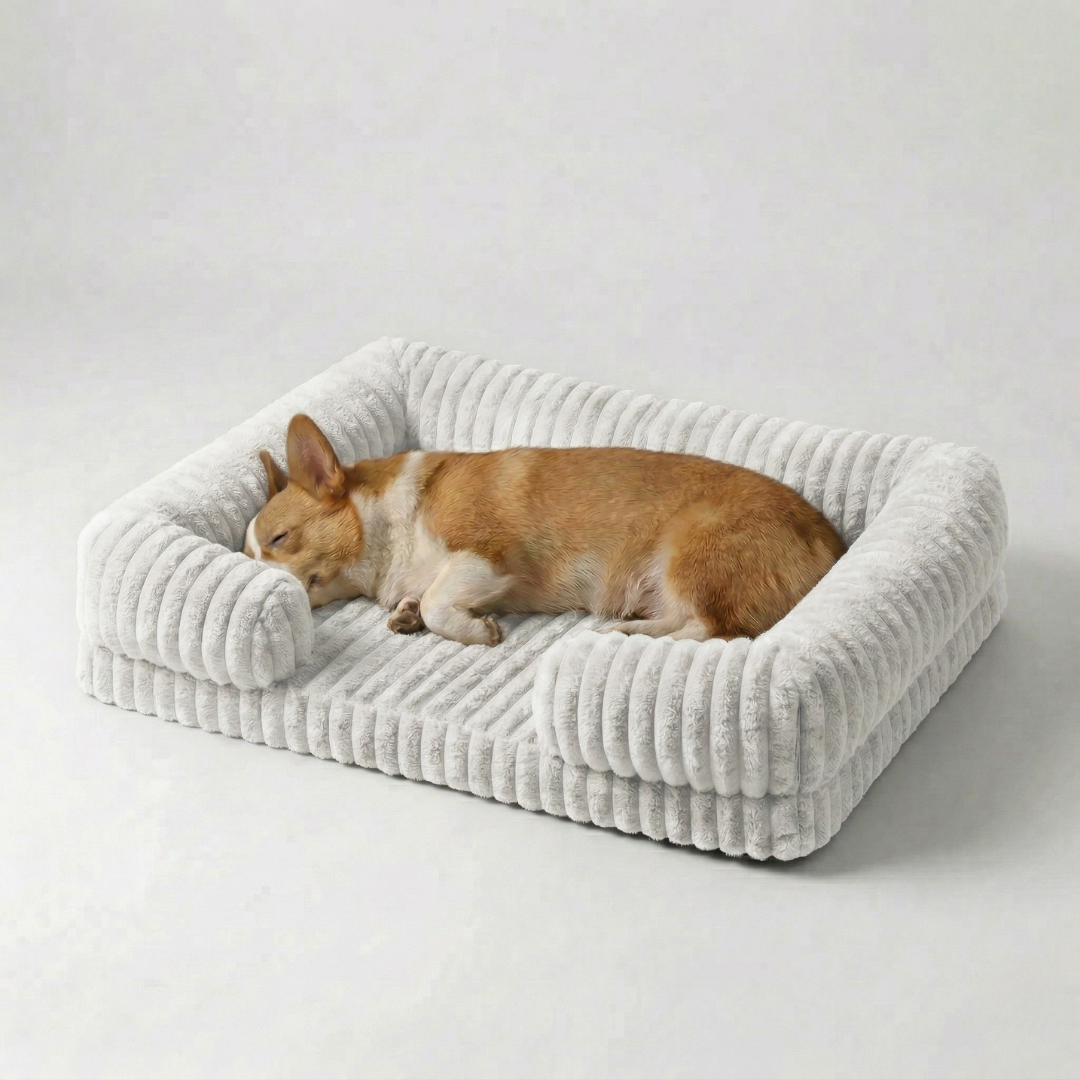 Hundebett mit erhöhtem Rand Sofa-Stil Memory Foam Orthopädisch Waschbar Komfort für kleine mittelgroße Hunde | Sansoti