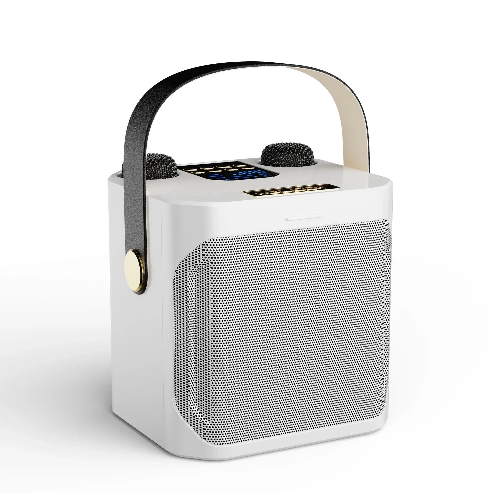 Karaoke Bluetooth Luidspreker Met 2 Microfoons 360° Stereo Surround | Sansoti