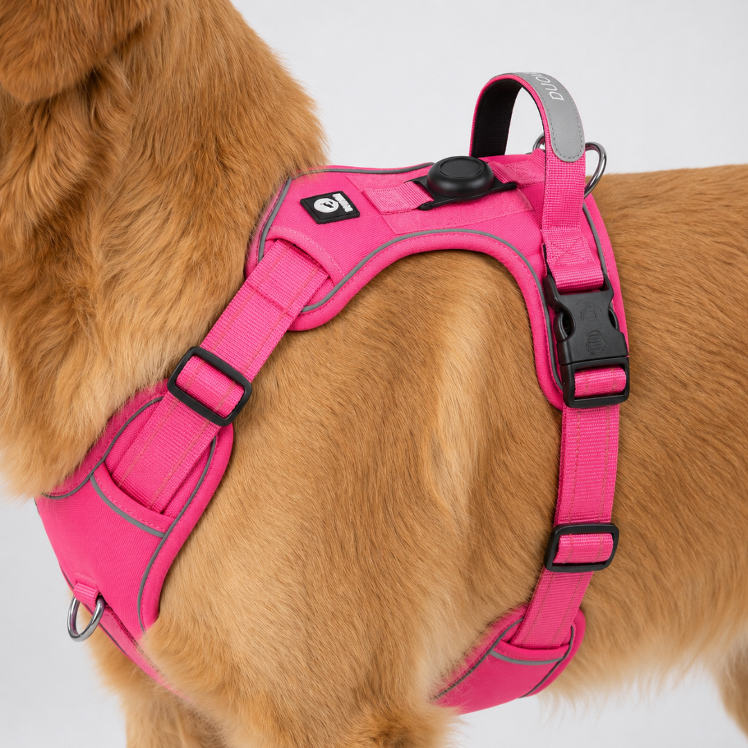 Adjustable No-Pull Dog Harness Chest Harness Reflective Comfortable Safe Walking Dog XS to XL | Sansoti