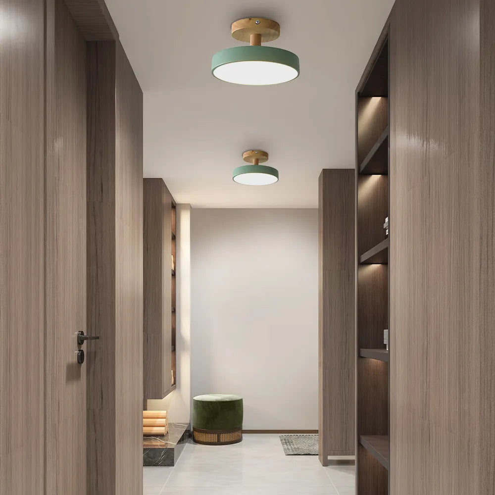 Pedol plafondlamp LED 12W hout groen plafondlamp slaapkamer hal Scandinavisch design moderne verlichting kleine ruimtes | Sansoti