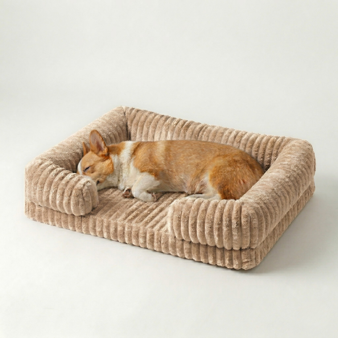 Hundebett mit erhöhtem Rand Sofa-Stil Memory Foam Orthopädisch Waschbar Komfort für kleine mittelgroße Hunde | Sansoti