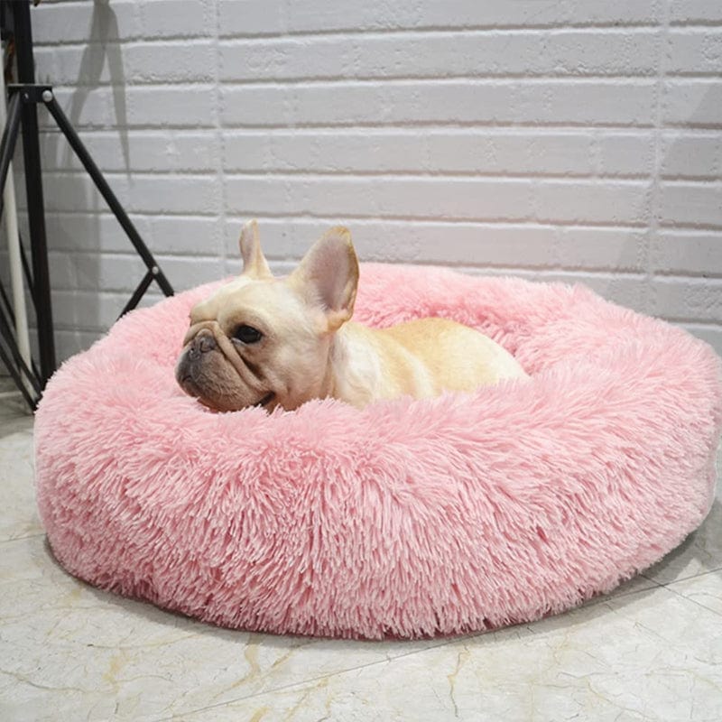 Panier rond pour animal de compagnie à bord surélevé, couchage moelleux pour chien ou chat, nid douillet avec coussin chaud | Sansoti